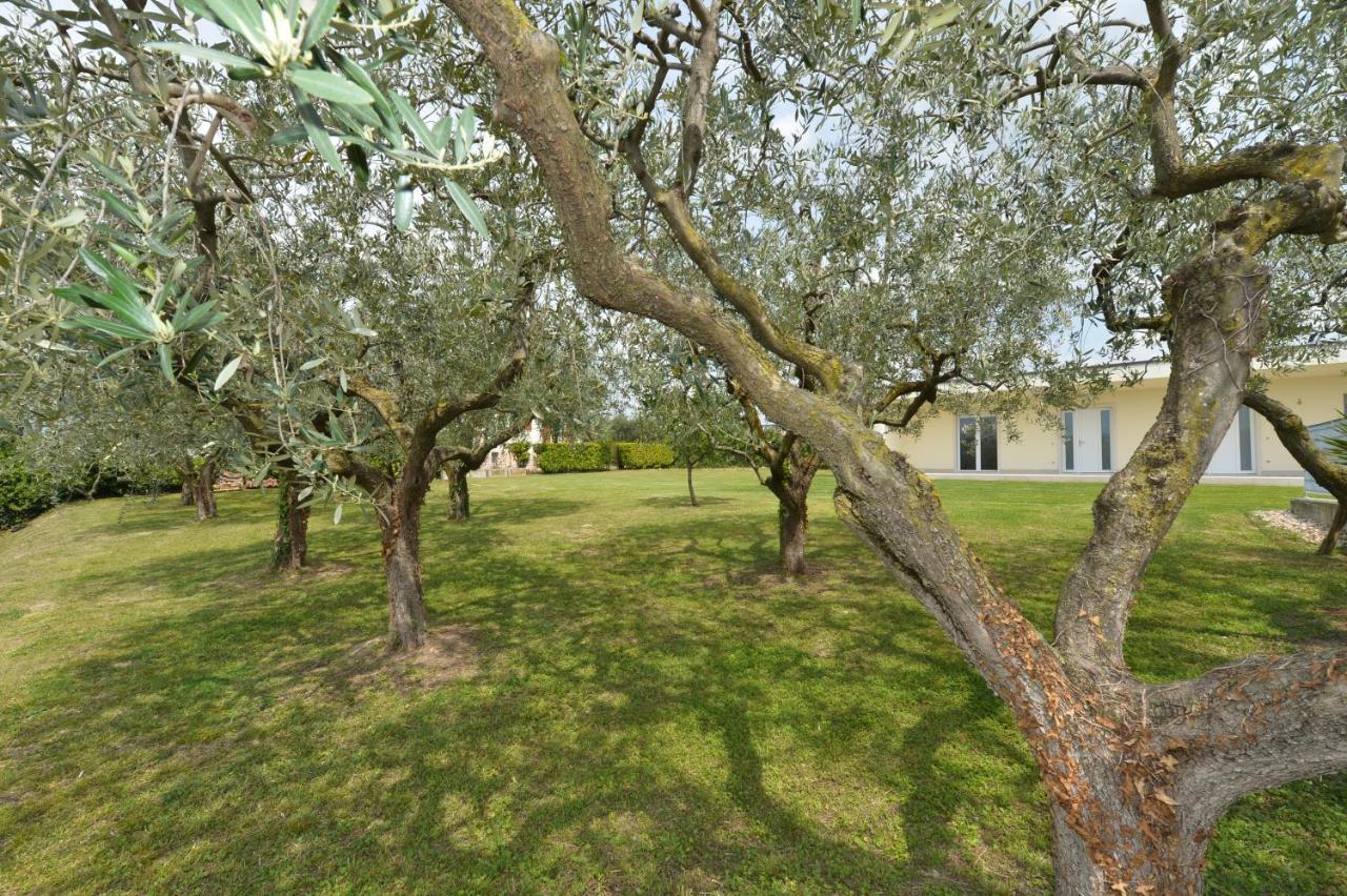 Albergo Panoramica Bardolino Eksteriør bilde